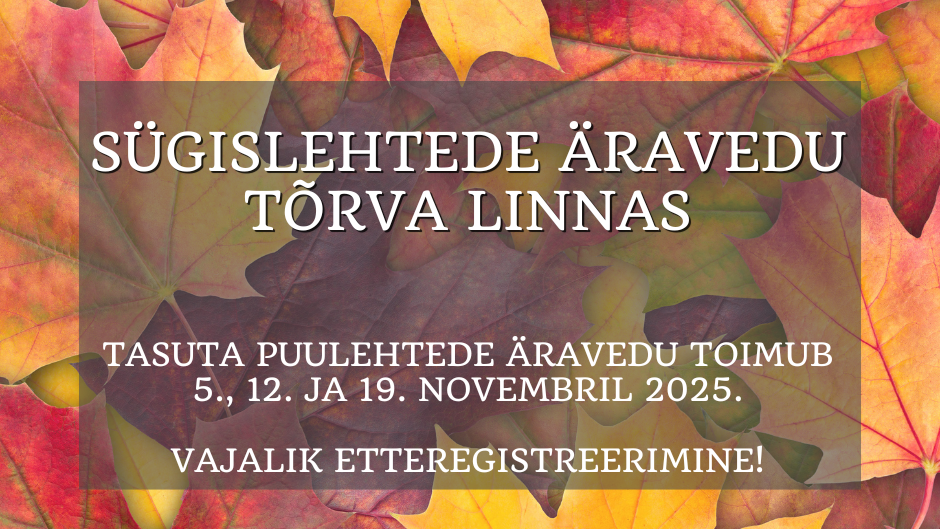 Sügislehtede vedu Tõrva linnas