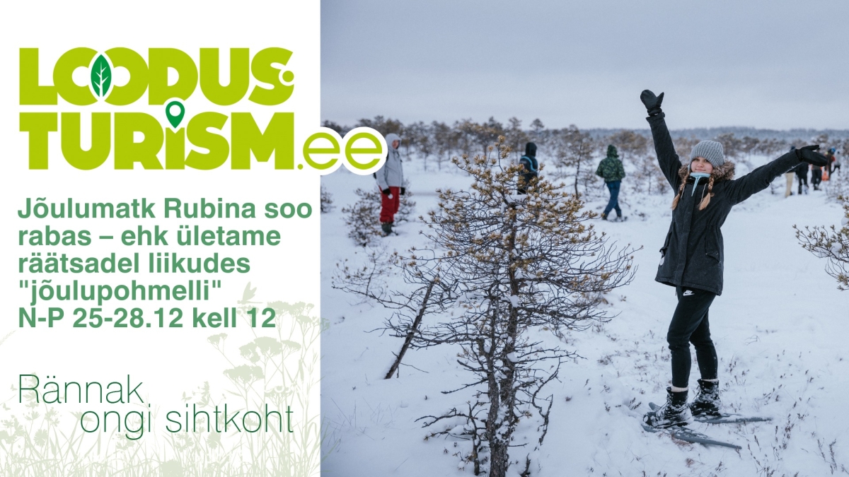 Jõulumatk Rubina soos rabas 