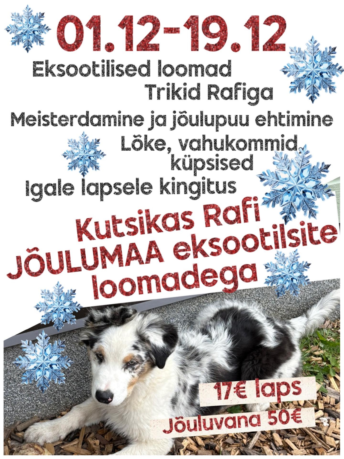 Kaasiku talu jõulumaa gruppidele