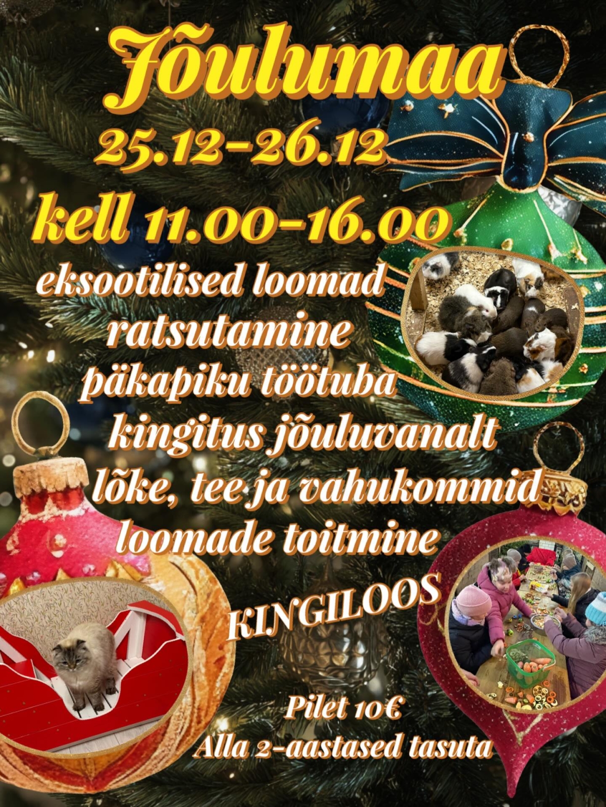 Kaasiku talu jõulumaa