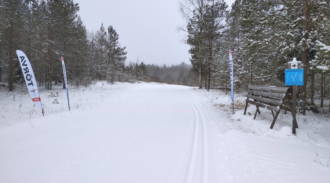 11. jaanuaril sai alguse Tõrva valla suusaseriaal | Tõrva vald